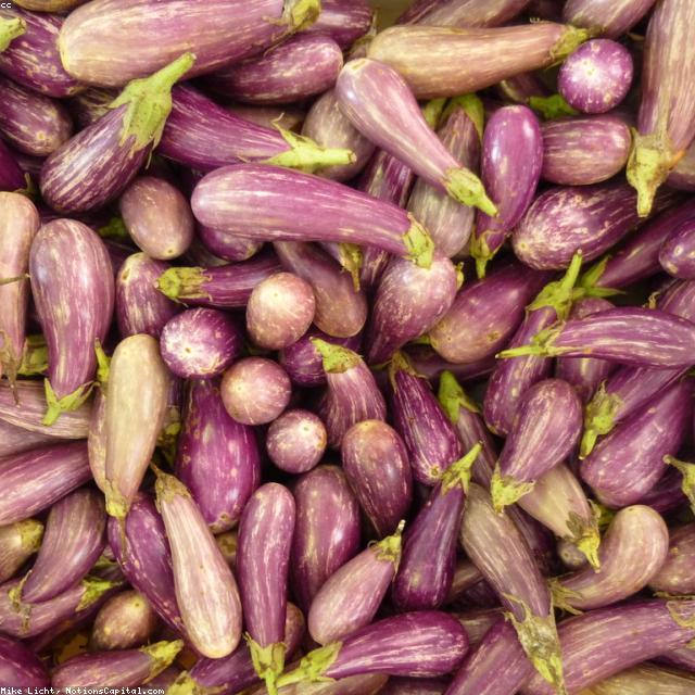 Eggplant