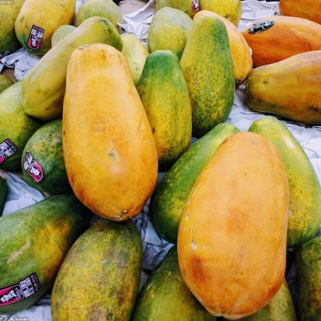 Papaya