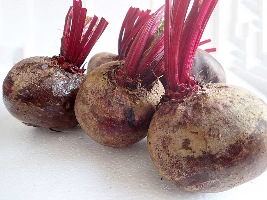 Beet root