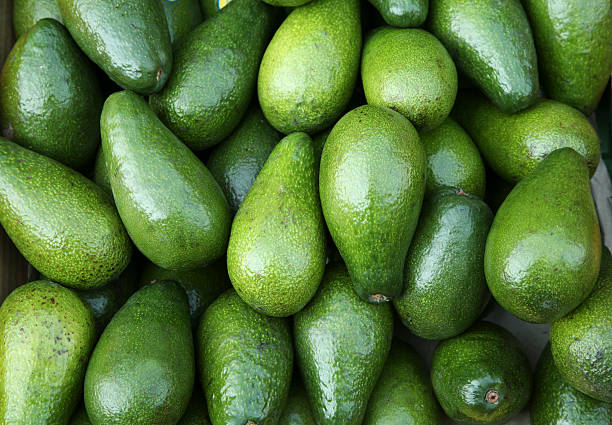 Avocado