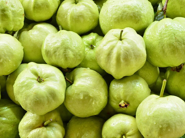Guavas