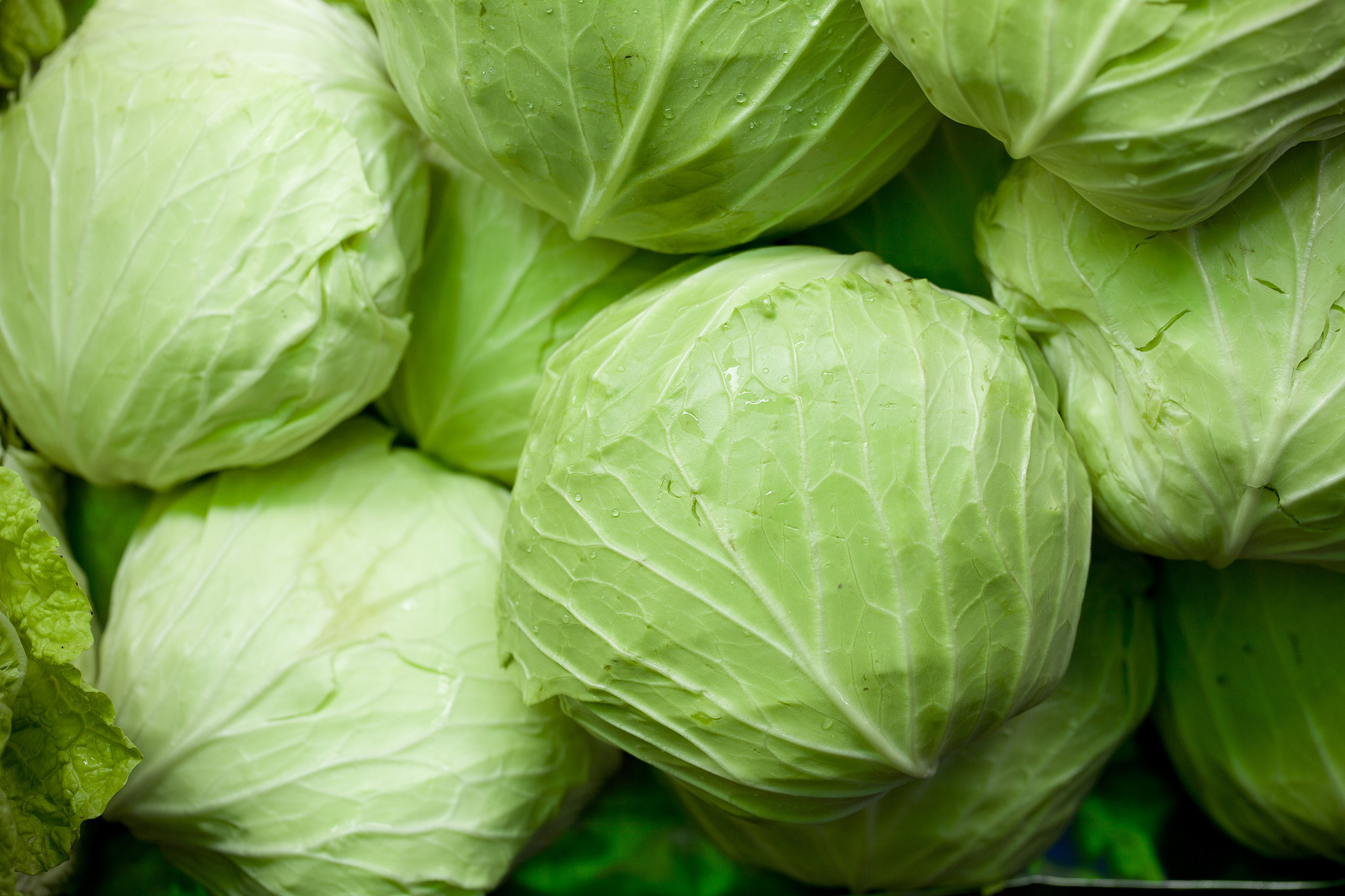 Cabbages