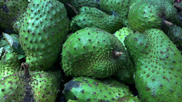 Soursop