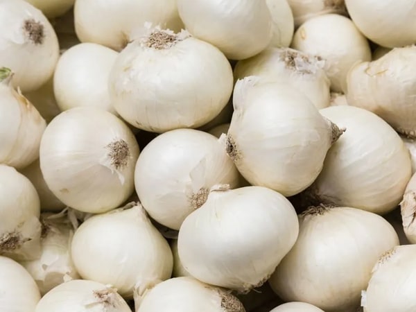 White onion