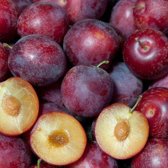 Plums
