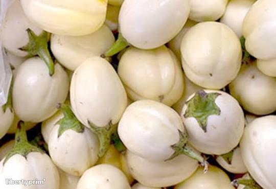 Garden (egg plants)