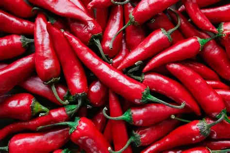 Hot pepper