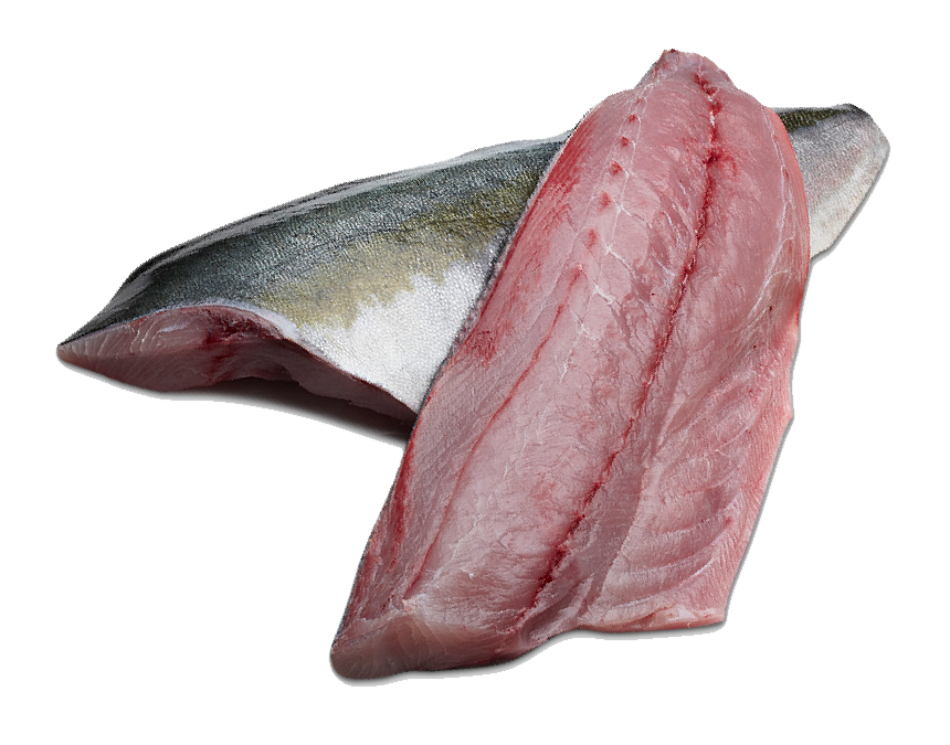 Fillet KingFish