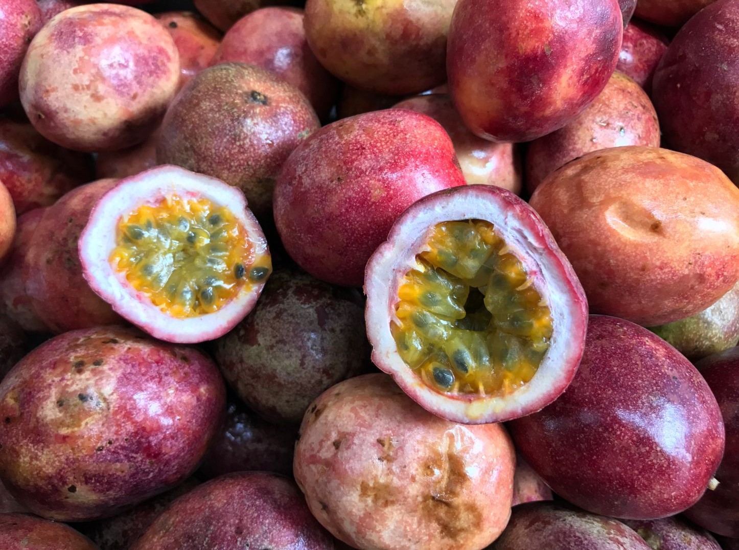 Passion Fruits