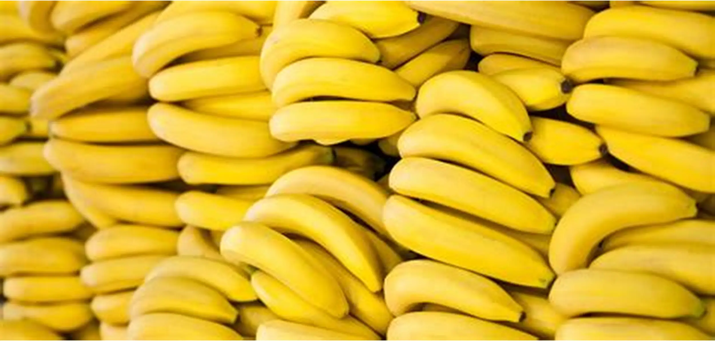 Bogoya - Yellow banana