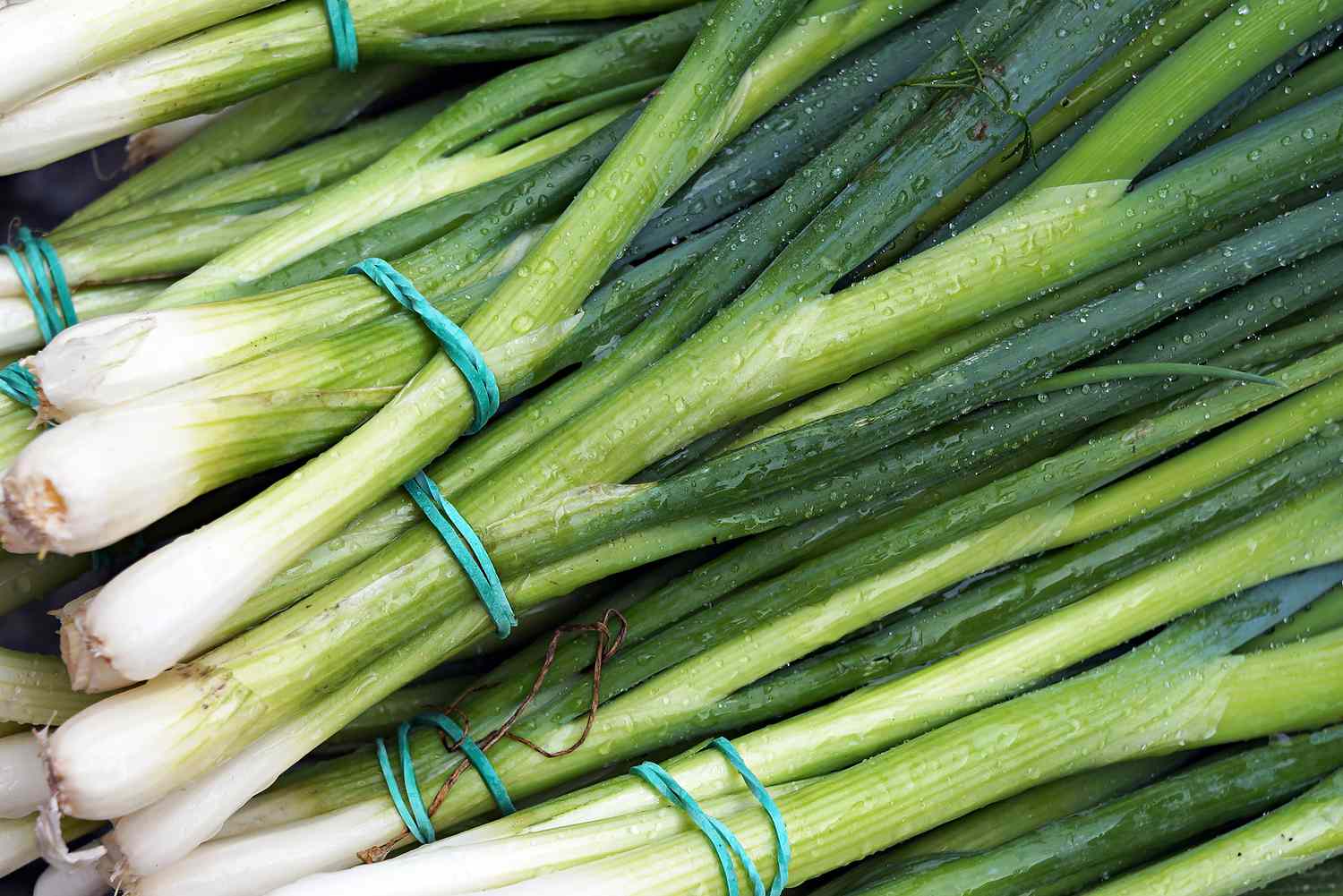 Spring Onions