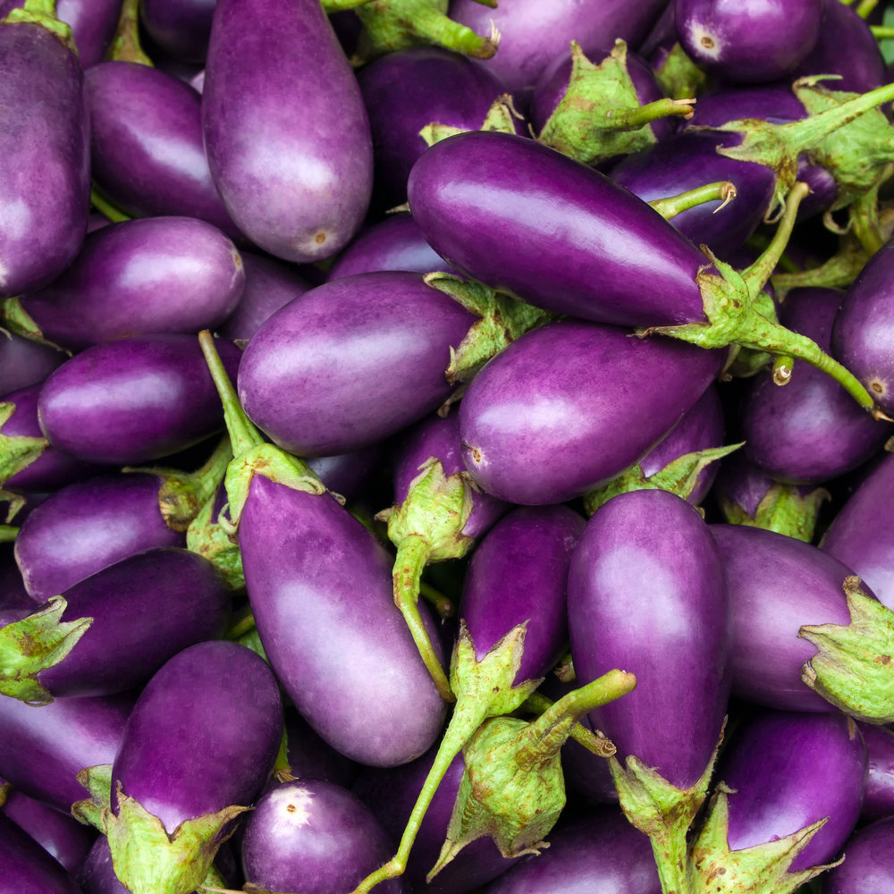Garden Eggplants