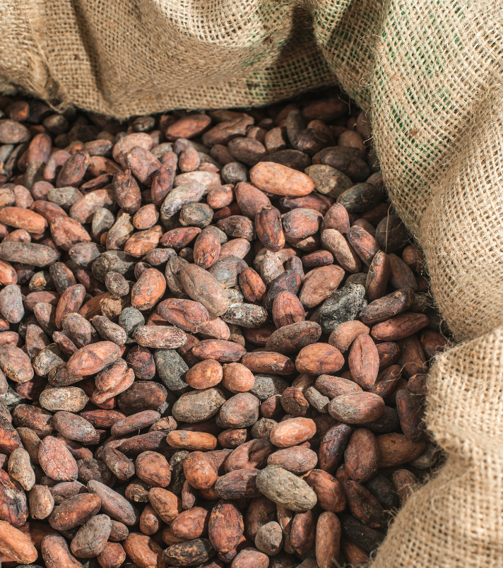 Cocoa