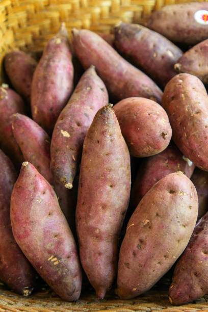 sweet potato