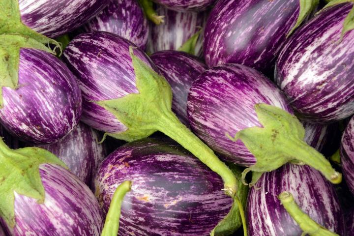 Big eggplants